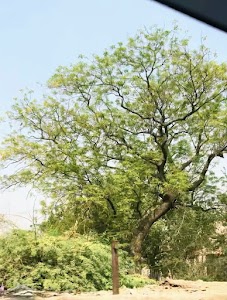 Jagriti Enclave, Anand Vihar