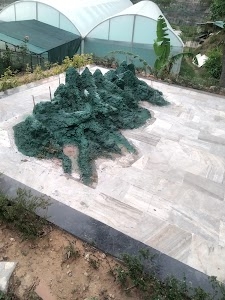 Kunya Nursury SMVDSB