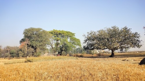 Pathalgara