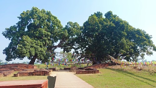 Allimaranahalli, Kanakapura