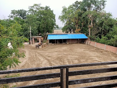 Lohangpur
