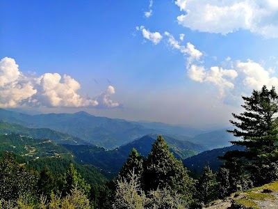 DKG Top,Bafliaz