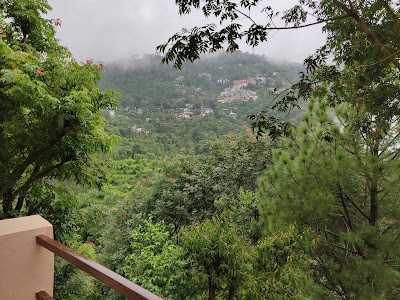 Cloud 9 Homestay