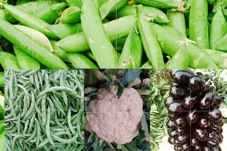 Gidurha (गिदुरहा)