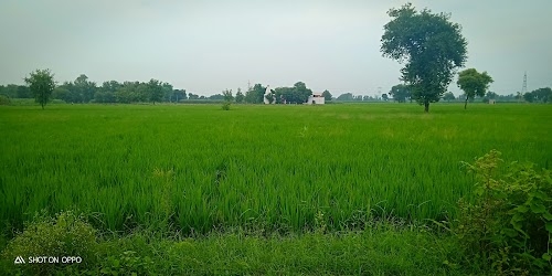 Ismailpur