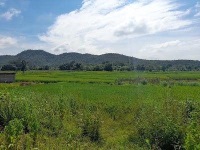 Taimara valley