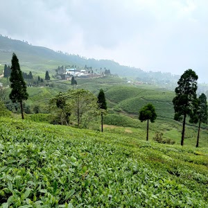Kanyam