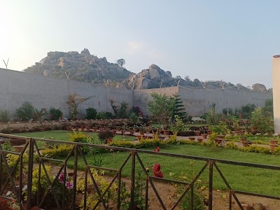 Pithauriya