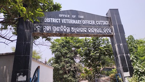 CDVO office Cuttack