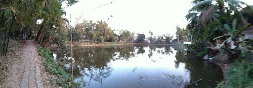 Noakhani Pukor
