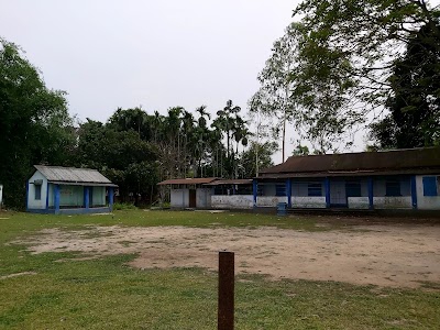 Hasuya Para BFP School