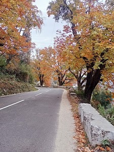 Pilkholi Chungi