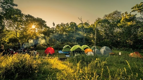 KALARI FOREST SCHOOL