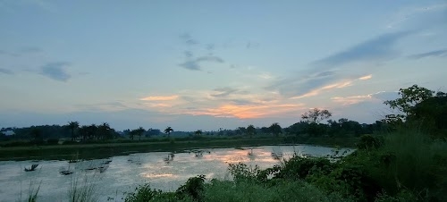 Goyal Para