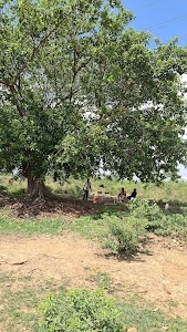 Bijlipur
