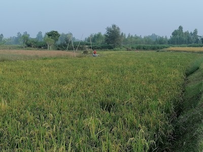 Kishanpur