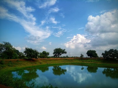 Borai