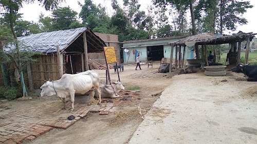 Sardar jee home