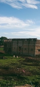 Kuri