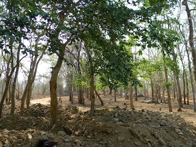Palamu Tiger Reserve