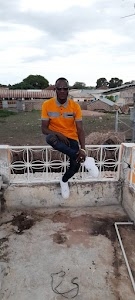 Bambusar