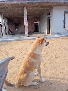 Chhota Gudha