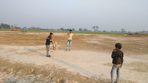 Cricket Ground