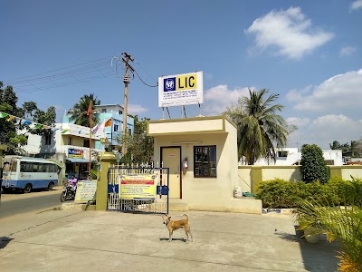 LIC of India