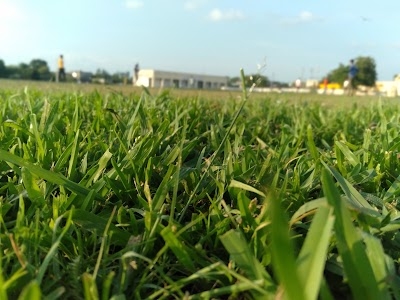 Cricket graund