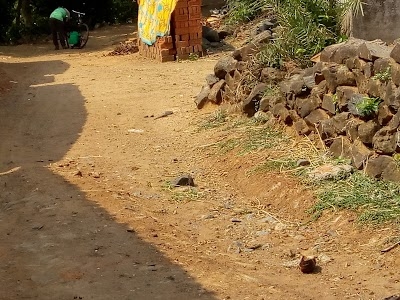 Gayapahari