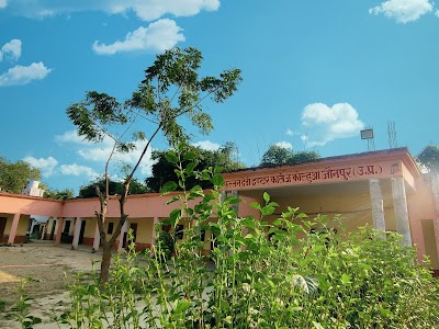 Fullan devi inter mediat collage