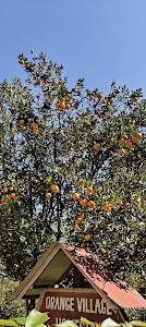 Rimbi Orange Garden
