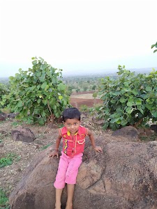 Lakhali