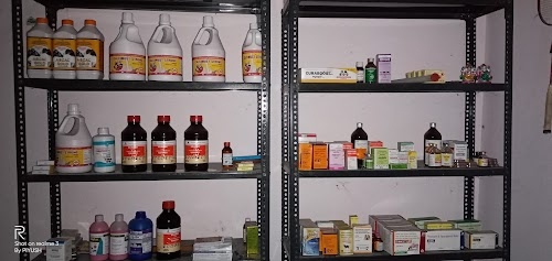Hardik Veterinary Clinic (पशु चिकित्सा केन्द्र)