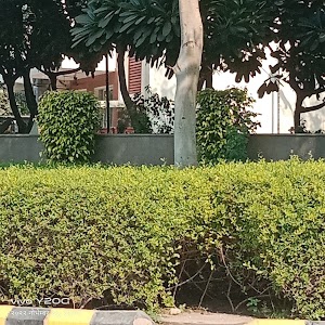 Akhilesh yadav home
