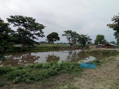 Bolodev Fishery Farm