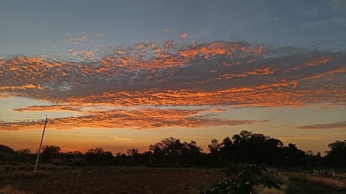 श्री बरम देव महाराज मंदिर