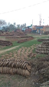 Nanak Nagli