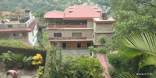 Damber Singh College