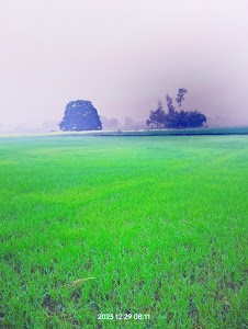 Sukrit Sonebhadra