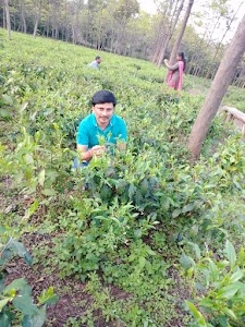 Saradih
