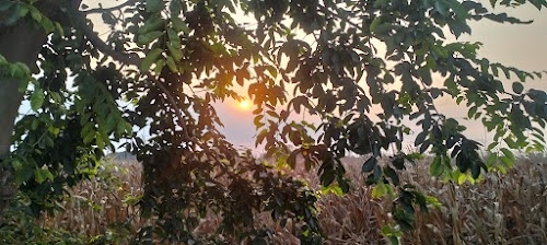 Bisauli By Pass Road Aonla(Bareilly). Lakshya kumar(AMAN)