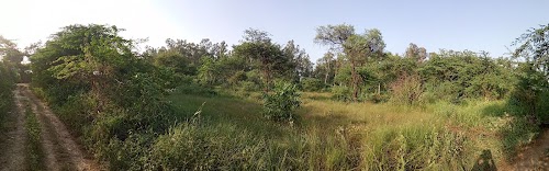 Mavikala