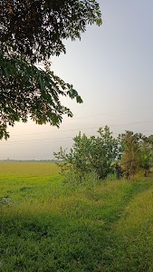 Gugamukjh