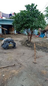 Ankit Yadav