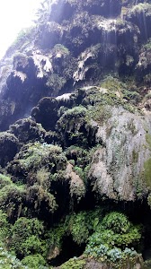 Patna Village