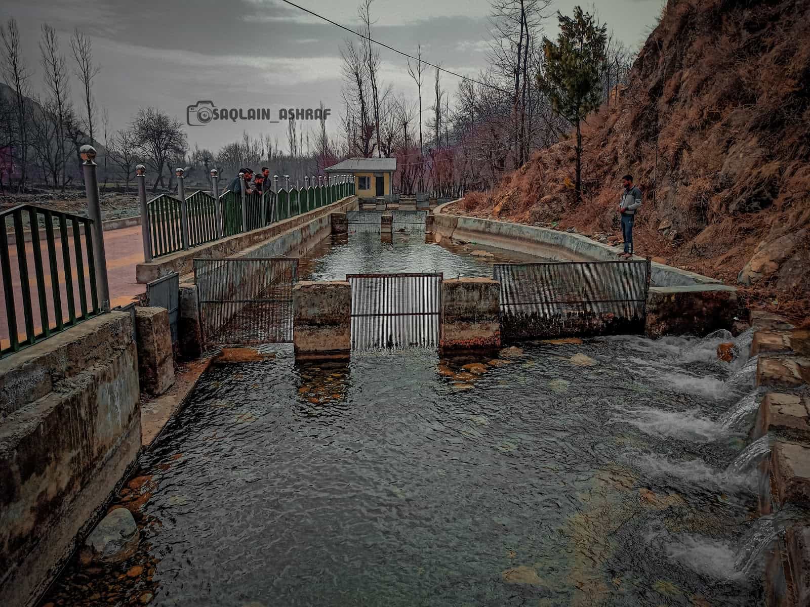 Aripal spring