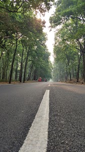 गोगा माड़ी