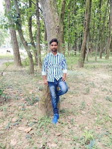 Shailendra House (Bharmdev deelar)