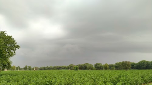 Lakhasar